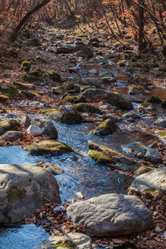 红叶岩石小河水水塘自然景观11