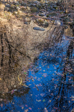 红叶岩石小河水水塘自然景观22