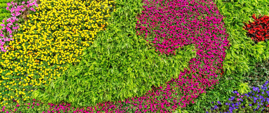 鲜花植物墙