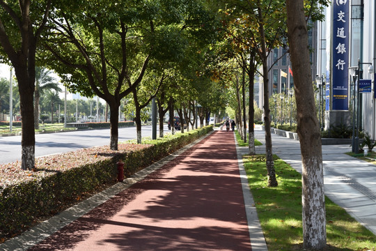 宁波高新区街景