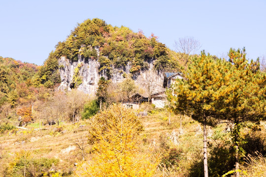 山野秋景