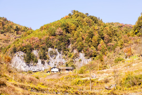 山野秋景