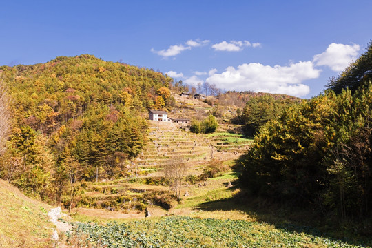 山野秋景