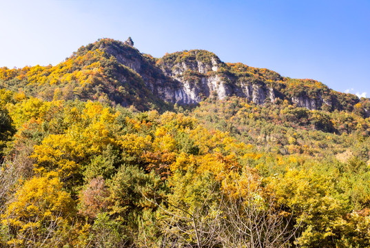 山野秋景