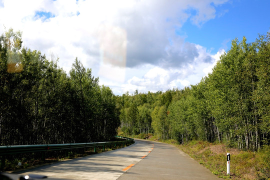 森林公路