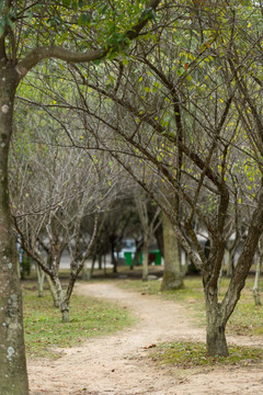 龙潭风景区