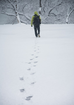 雪地独行