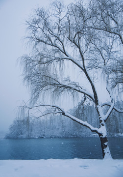 湖边的雪景