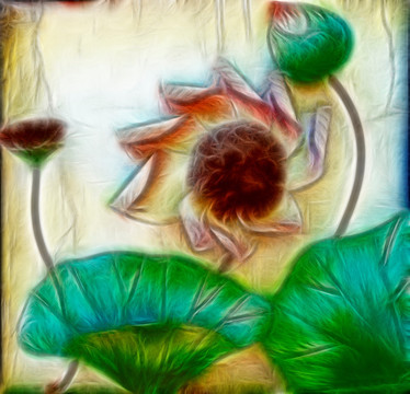 荷花