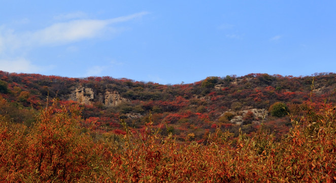 山野秋色