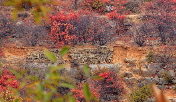 山野秋色