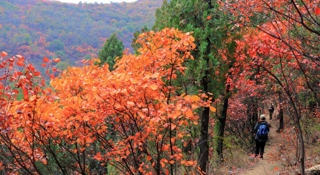 山野秋色