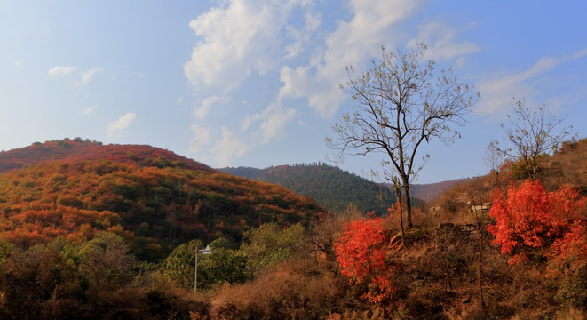 山野秋色