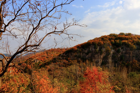 山野秋色