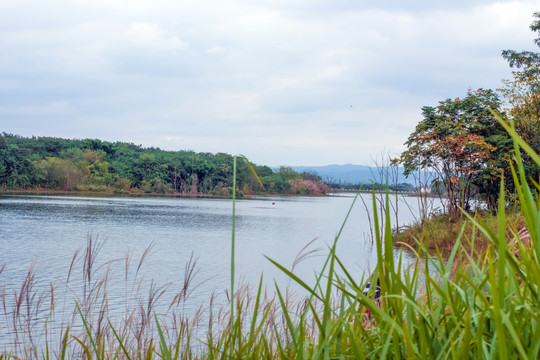 青龙湖公园