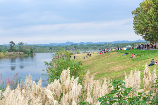 青龙湖公园