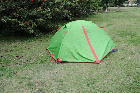 草地上的帐篷