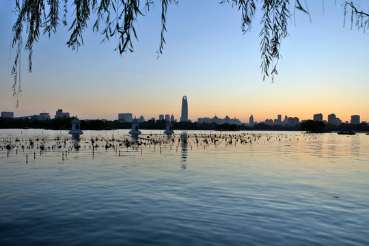 济南大明湖风光