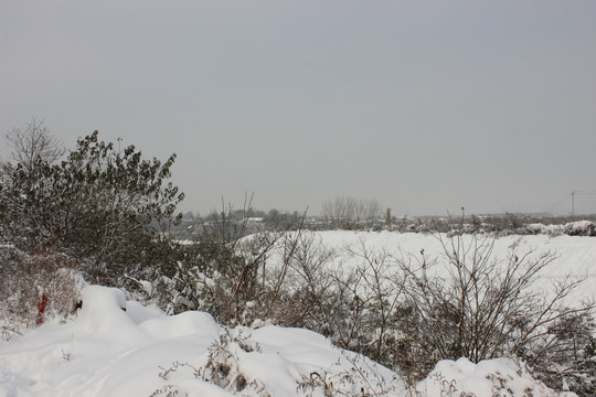 冬天的雪