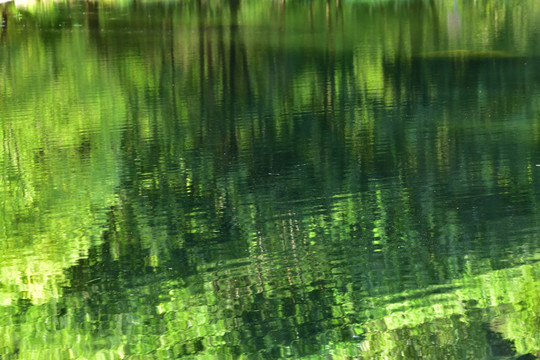 湖泊绿树倒影