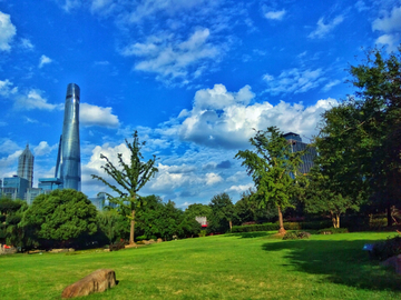 上海公园绿化风景