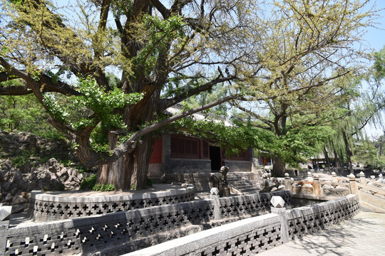 晋祠王琼祠