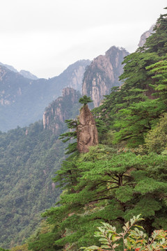 夏天黄山风光