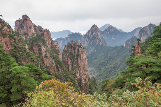 夏天黄山风光