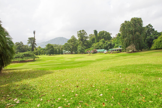 斯里兰卡植物园