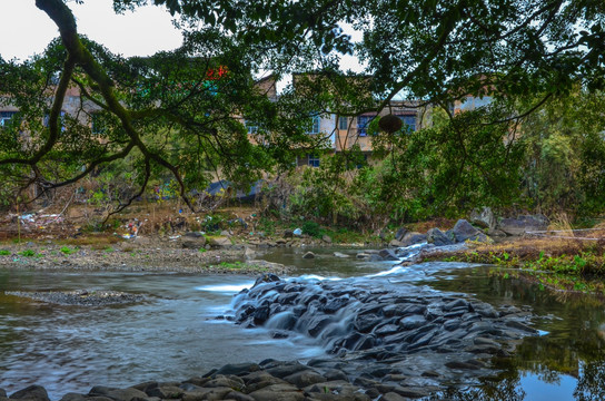 云水谣大榕树小河