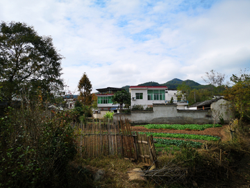 乡村即景