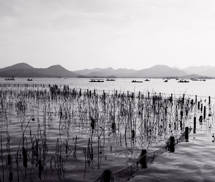 杭州西湖