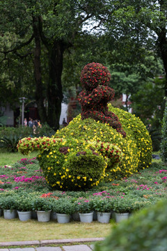 福州西湖菊花展