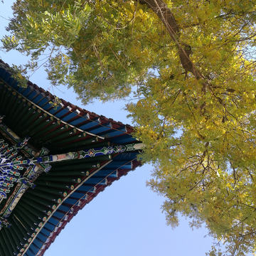 秋天的寺院