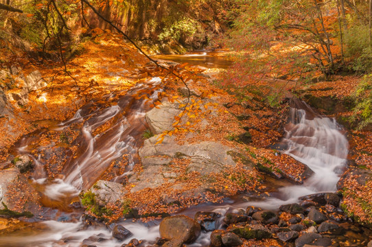 光雾山十八月潭景区红叶