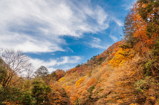 光雾山大坝景区大小兰沟