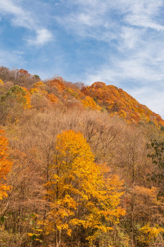 光雾山大坝景区大小兰沟