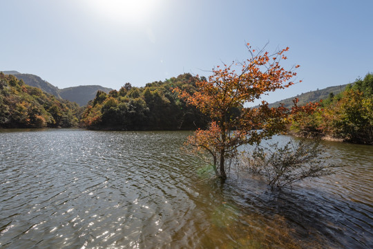 绿水青山