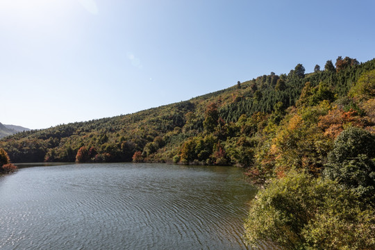 绿水青山