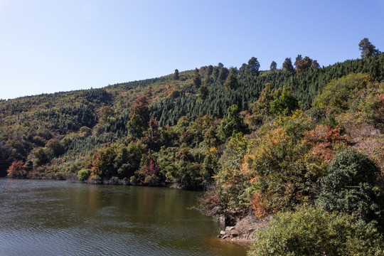 绿水青山