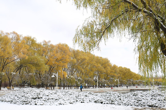 雪景