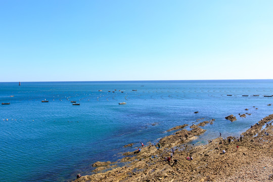 大连旅顺黄海生态养殖筏