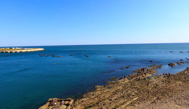 大连旅顺黄海生态养殖筏