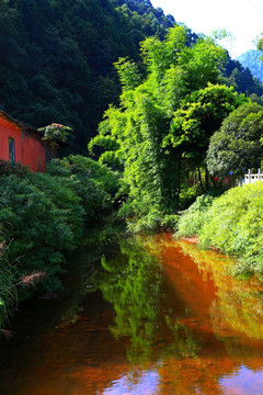 竹林小河