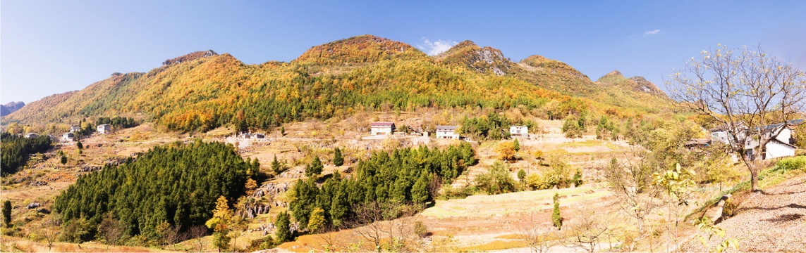 山野秋景