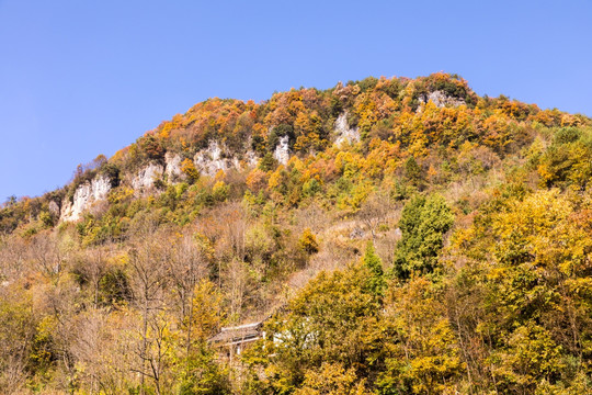 山野秋景