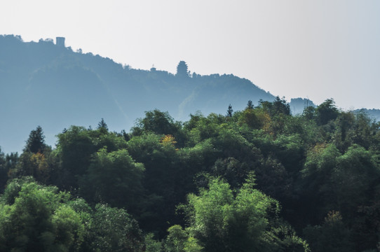 黄桷门山林