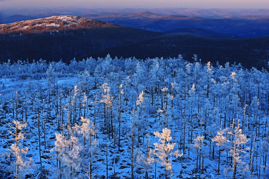 夕照雪色山林