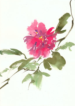 紫紅色花朵