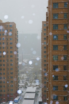 城市雪景